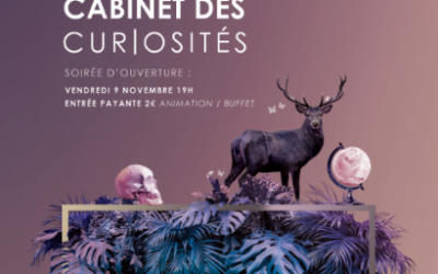 10 & 11 novembre – Salon Cabinet de Curiosités