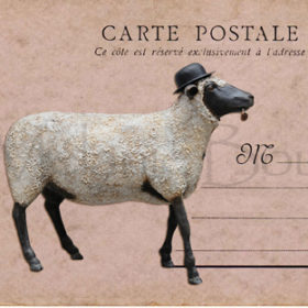 Mouton - Carte postales Mélanie Bourlon - série 1