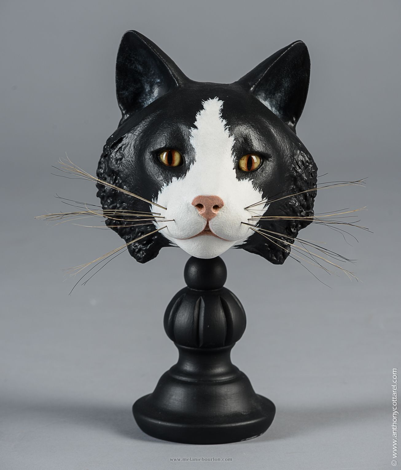 Chat Félix | Animaux | Sculpture en papier mâché | Mélanie Bourlon