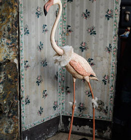 Flamand- Sculpture en papier de Mélanie Bourlon - 38 Le Avenières - Isère - Rhône-Alpes - France - Photo : Anthony Cottarel