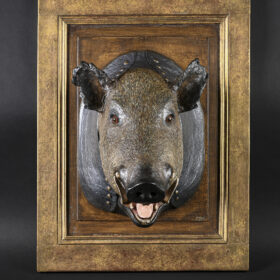 Sanglier papier mâché Melanie Bourlon