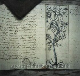 1.Herbier encre de chine - Peinture patine - Sculpture en papier de Mélanie Bourlon - 38 Le Avenières - Isère - Rhône-Alpes - France - Photo : Anthony Cottarel
