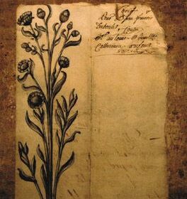 1.Herbier encre de chine - Peinture patine - Sculpture en papier de Mélanie Bourlon - 38 Le Avenières - Isère - Rhône-Alpes - France - Photo : Anthony Cottarel