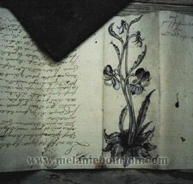 1.Herbier encre de chine - Peinture patine - Sculpture en papier de Mélanie Bourlon - 38 Le Avenières - Isère - Rhône-Alpes - France - Photo : Anthony Cottarel