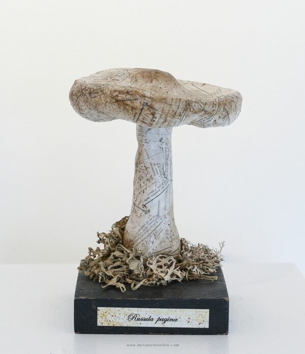 - Épicerie fine - Sculpture en papier de Mélanie Bourlon - 38 Le Avenières - Isère - Rhône-Alpes - France - Photo : Anthony Cottarel