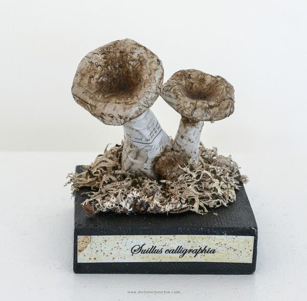 - Épicerie fine - Sculpture en papier de Mélanie Bourlon - 38 Le Avenières - Isère - Rhône-Alpes - France - Photo : Anthony Cottarel