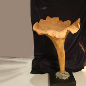 Champignons bobines, Epicerie, Sculpture papier mâché