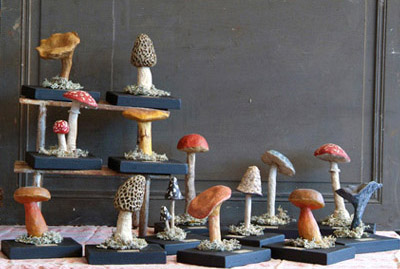 Collection de champignons 2, Epicerie, Sculpture papier mâché
