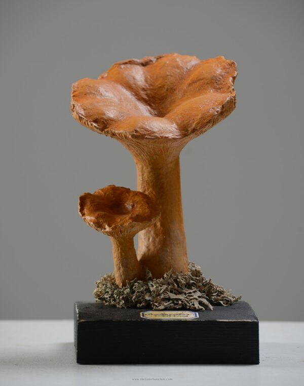 - Épicerie fine - Sculpture en papier de Mélanie Bourlon - 38 Le Avenières - Isère - Rhône-Alpes - France - Photo : Anthony Cottarel