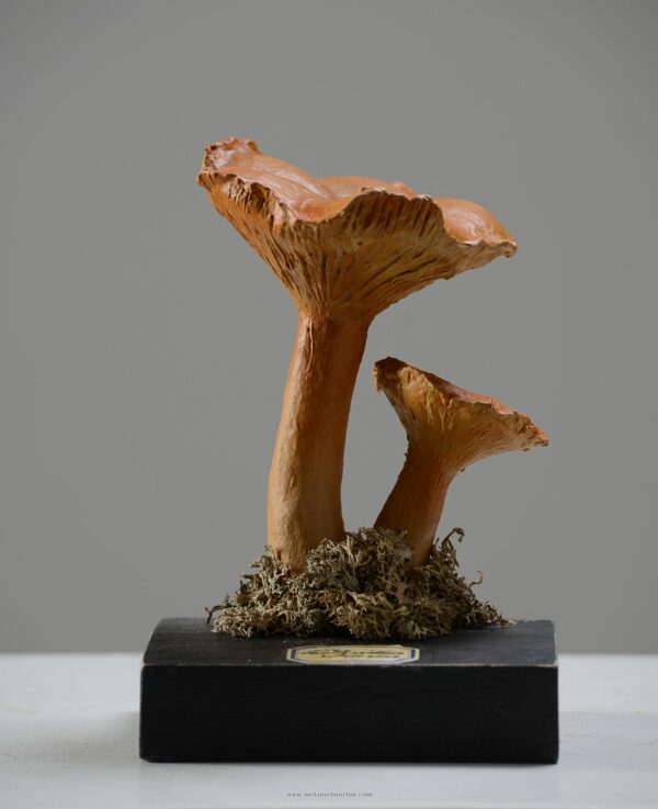 - Épicerie fine - Sculpture en papier de Mélanie Bourlon - 38 Le Avenières - Isère - Rhône-Alpes - France - Photo : Anthony Cottarel