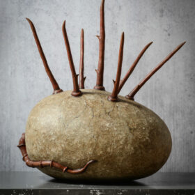 - Cabinet de curiosités - Sculpture en papier de Mélanie Bourlon - 38 Le Avenières - Isère - Rhône-Alpes - France - Photo : Anthony Cottarel