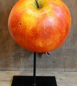 - Épicerie fine - Sculpture en papier de Mélanie Bourlon - 38 Le Avenières - Isère - Rhône-Alpes - France - Photo : Anthony Cottarel