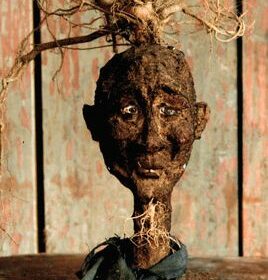 - Cabinet de curiosités - Sculpture en papier de Mélanie Bourlon - 38 Le Avenières - Isère - Rhône-Alpes - France - Photo : Anthony Cottarel