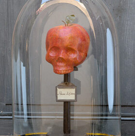 - Cabinet de curiosités - Sculpture en papier de Mélanie Bourlon - 38 Le Avenières - Isère - Rhône-Alpes - France - Photo : Anthony Cottarel