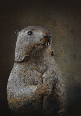 Marmotte - 40x60cm
