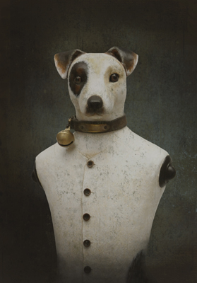 Jack Russell - 40x60cm