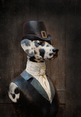 Dalmatienne - 40x60cm