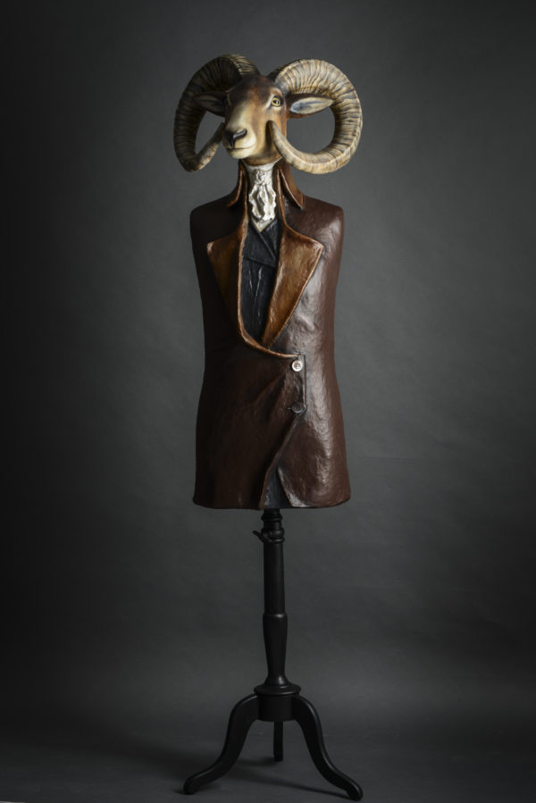 Mouflon – Image 2