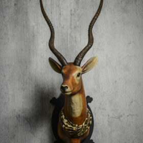Antilope