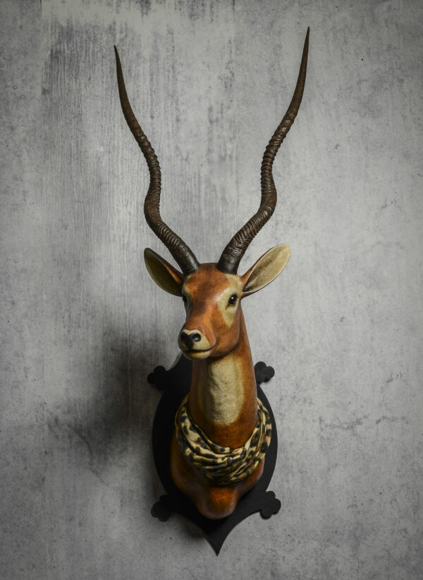 Antilope