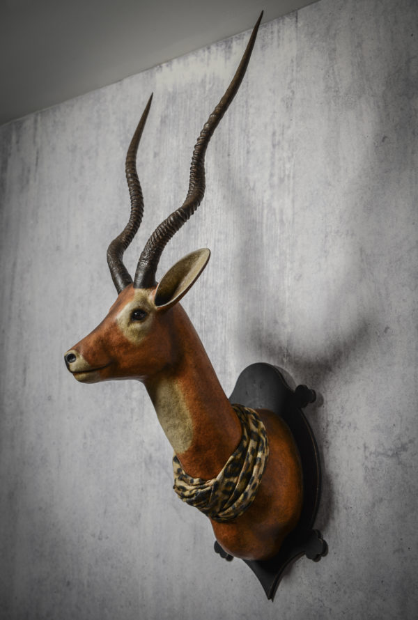 Antilope – Image 3