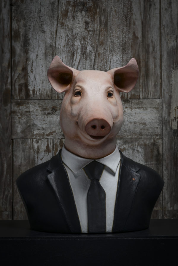 Mr. PIG