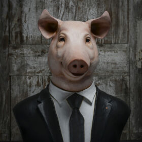Mr. PIG