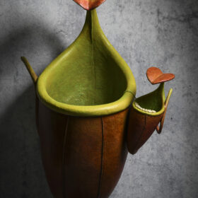Plantes carnivores- nepenthes --Melanie Bourlon sculptures papier mâché