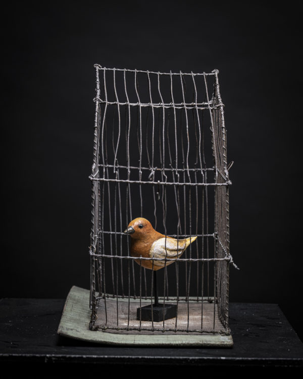 Oiseau à la cage-Melanie Bourlon sculptures papier mâché