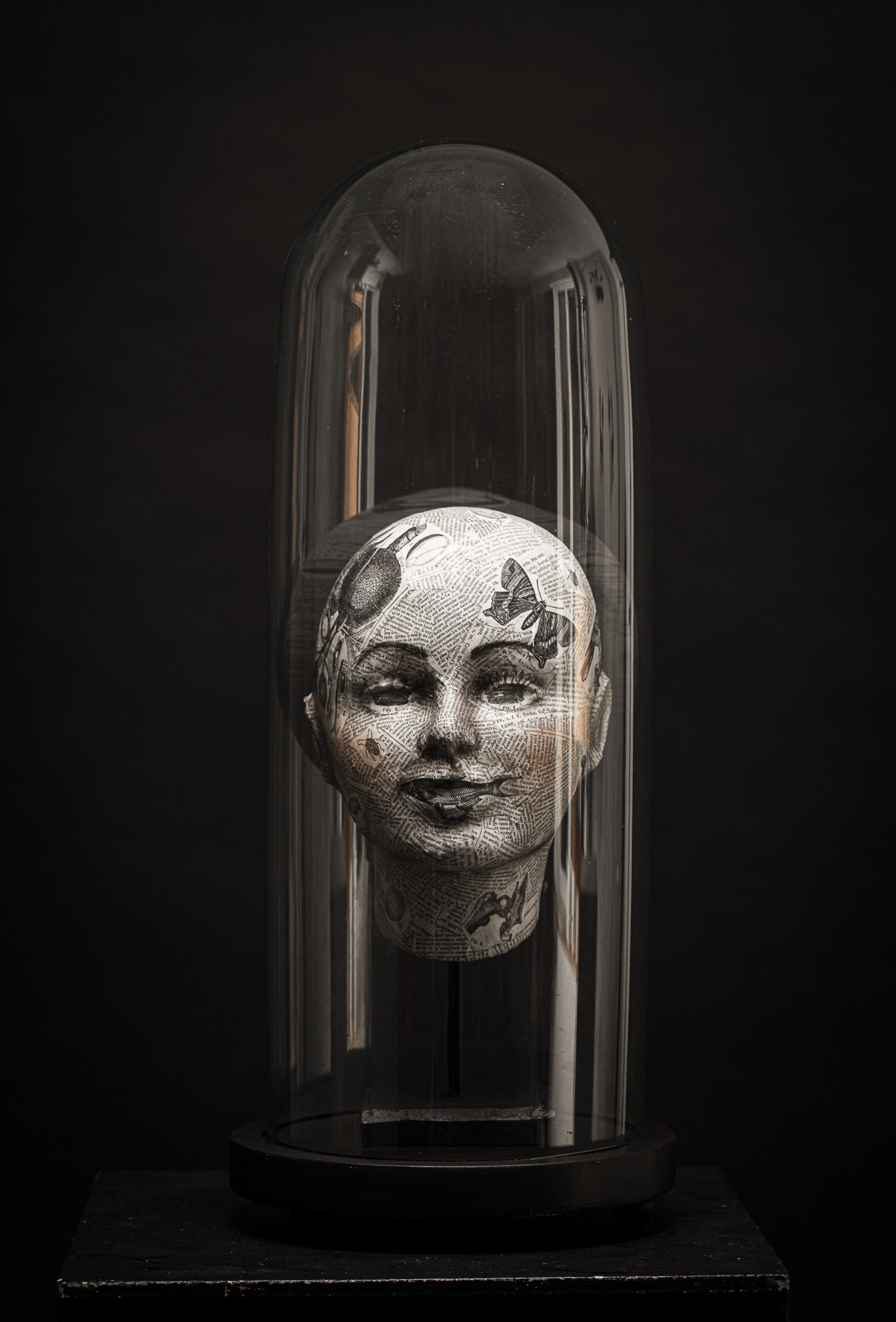 Visage sous cloche en verre | Animaux | Sculpture en papier mâché | Mélanie  Bourlon