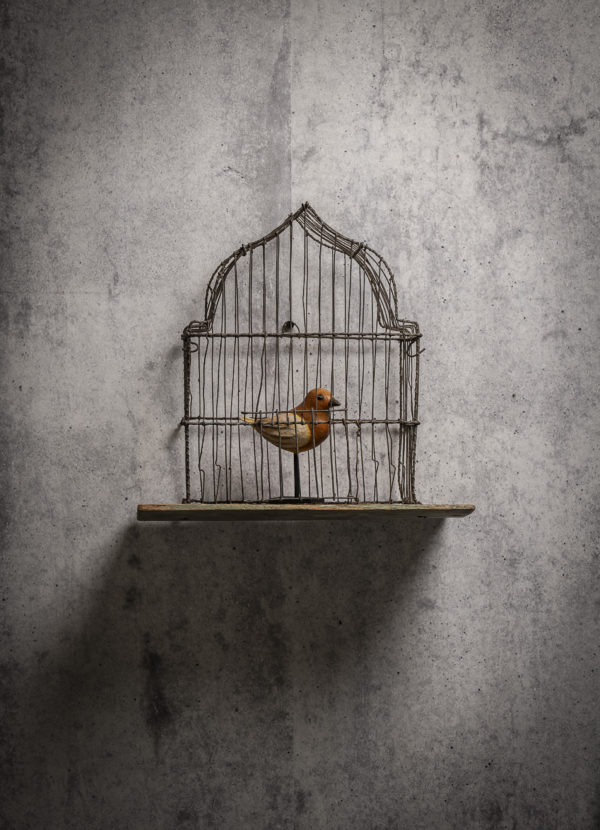 Oiseau à la cage-Melanie Bourlon sculptures papier mâché