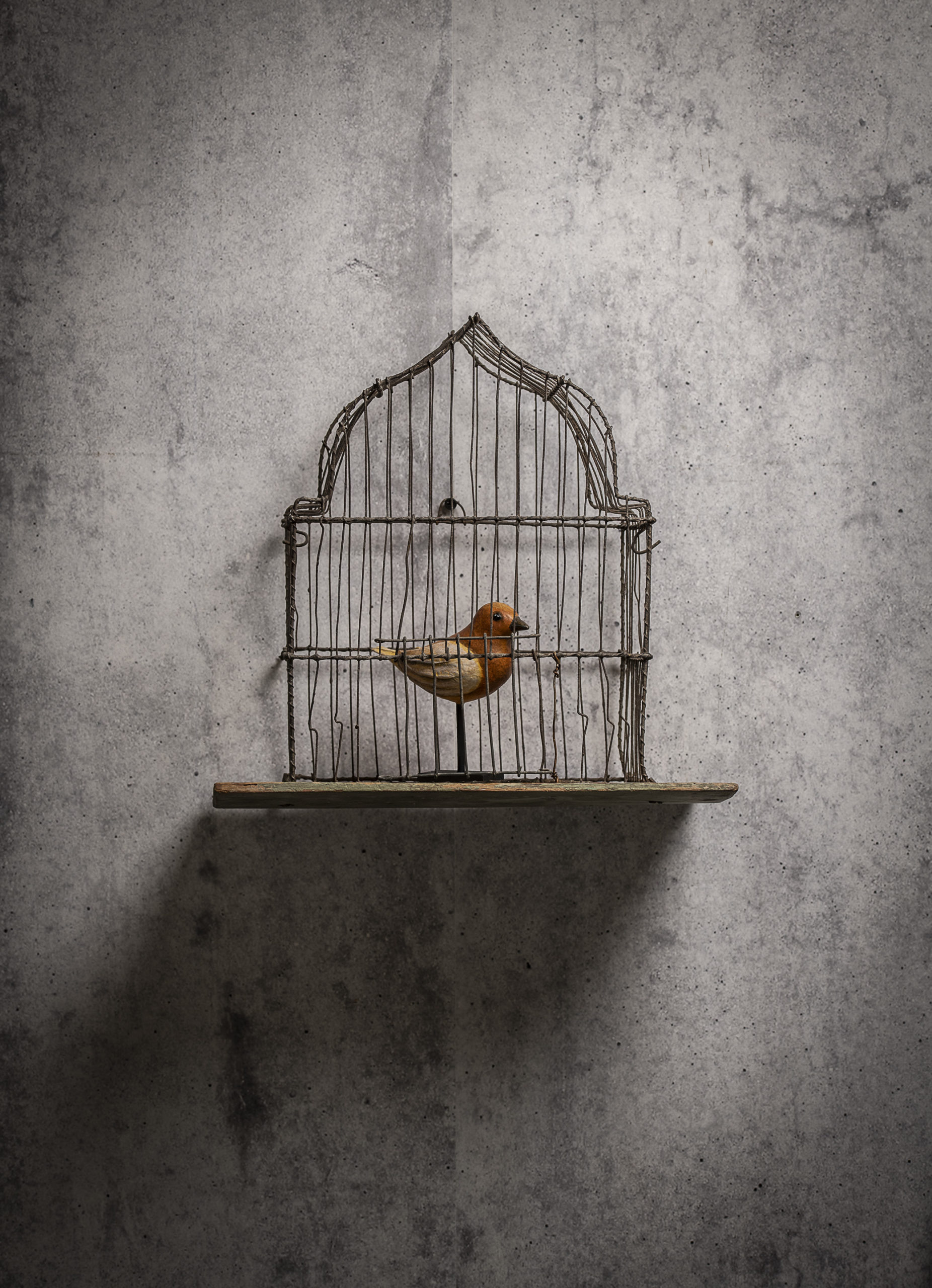 Oiseau à la cage | Animaux | Sculpture en papier mâché | Mélanie Bourlon