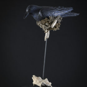 Corbeau -Melanie Bourlon sculptures papier mâché
