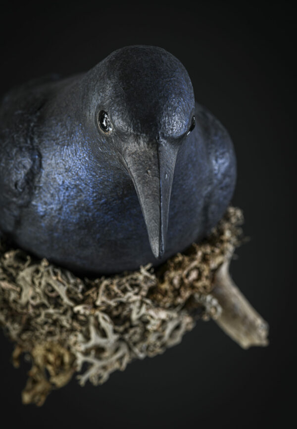 Corbeau -Melanie Bourlon sculptures papier mâché