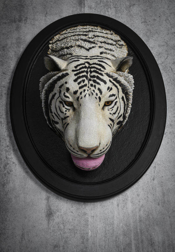Tigre gourmand- trophée -Melanie Bourlon sculptures papier mâché