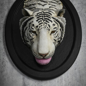 Tigre gourmand- trophée -Melanie Bourlon sculptures papier mâché