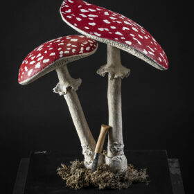 - Épicerie fine - Sculpture en papier de Mélanie Bourlon - 38 Le Avenières - Isère - Rhône-Alpes - France - Photo : Anthony Cottarel
