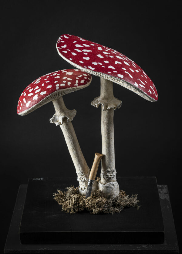 - Épicerie fine - Sculpture en papier de Mélanie Bourlon - 38 Le Avenières - Isère - Rhône-Alpes - France - Photo : Anthony Cottarel