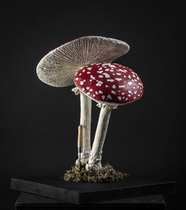 - Épicerie fine - Sculpture en papier de Mélanie Bourlon - 38 Le Avenières - Isère - Rhône-Alpes - France - Photo : Anthony Cottarel