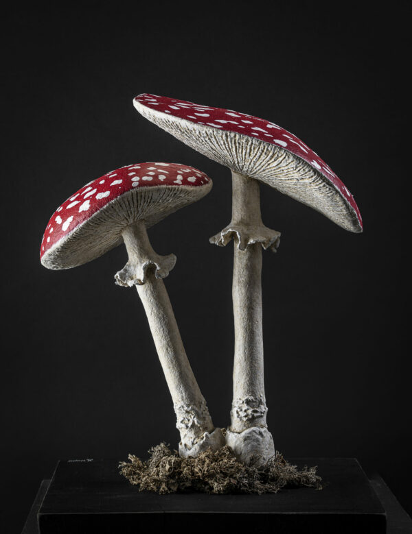 - Épicerie fine - Sculpture en papier de Mélanie Bourlon - 38 Le Avenières - Isère - Rhône-Alpes - France - Photo : Anthony Cottarel