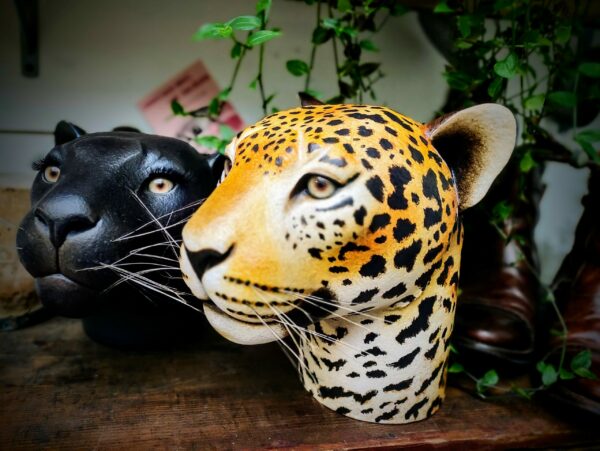 Couple de jaguars - Sculpture en papier mâché de Mélanie Bourlon - Isère, France, bestiaire