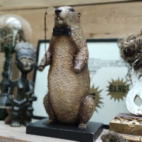 Marmotte - Mélanie Bourlon sculpture papier mâché