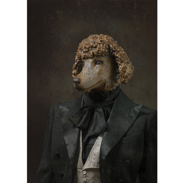 Cheffe d’orchestre-Caniche - 40x60cm