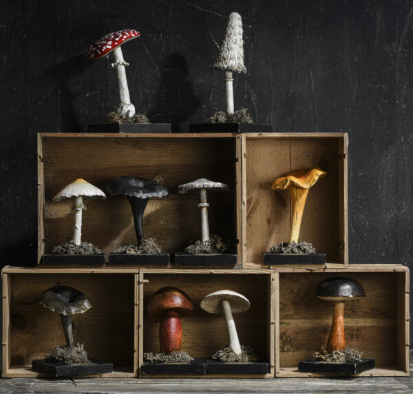 Melanie Bourlon collection de champignon en papier mâché