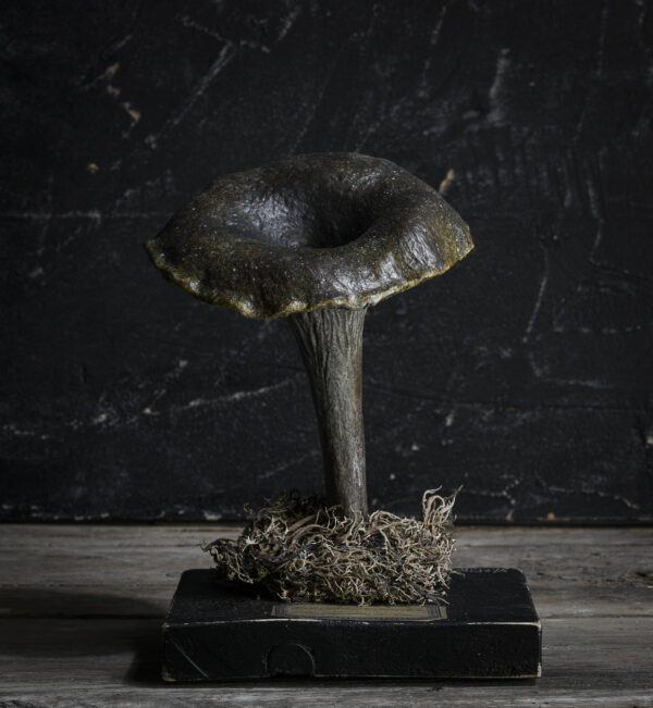Melanie Bourlon chanterelle gris en papier mâché