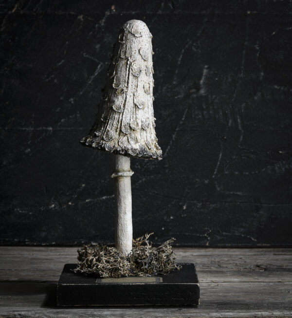 Mélanie Bourlon coprin chevelu en papier mâché