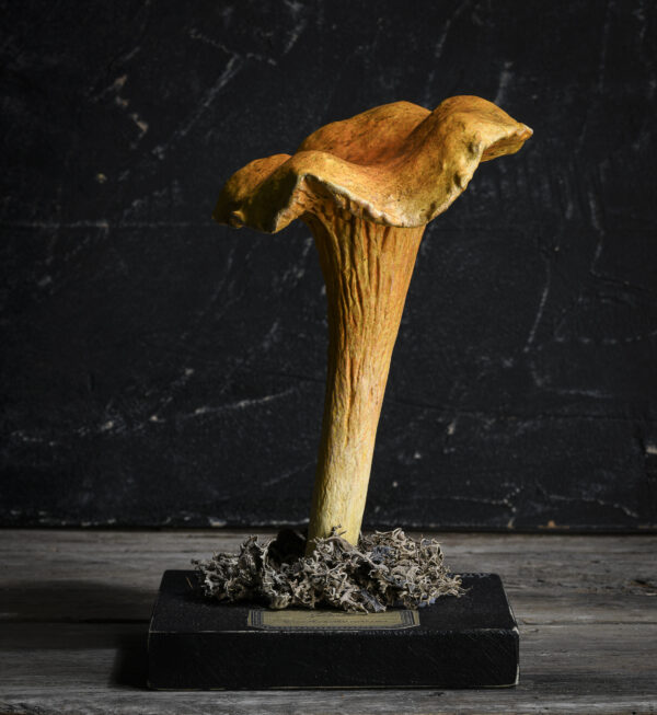 Mélanie Bourlon girolle en papier mâché