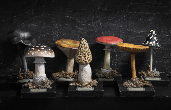 Melanie Bourlon collection de champignons en papier mâché