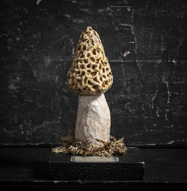 Melanie Bourlon morille en papier mâché