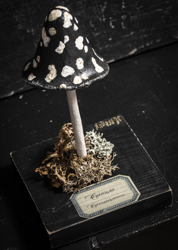 Melanie Bourlon coprin pie en papier mâché